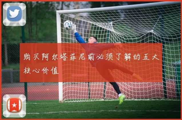 购买阿尔塔菲尼前必须了解的五大核心价值