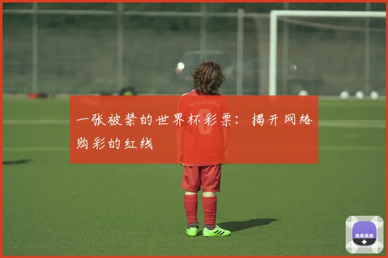 一张被禁的世界杯彩票:揭开网络购彩的红线
