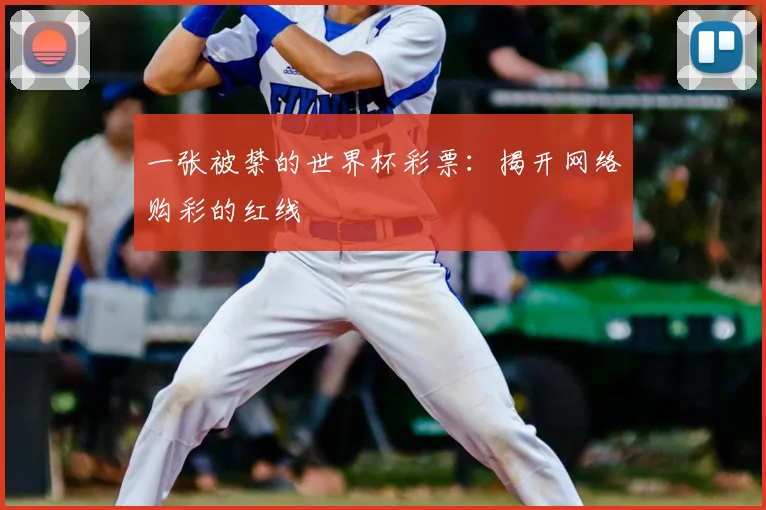 一张被禁的世界杯彩票:揭开网络购彩的红线
