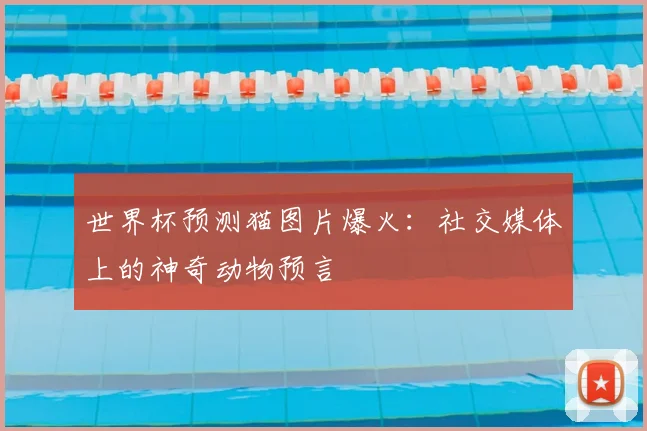 世界杯预测猫图片爆火:社交媒体上的神奇动物预言