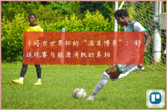 卡塔尔世界杯的“温度博弈”:舒适观赛与能源消耗的真相