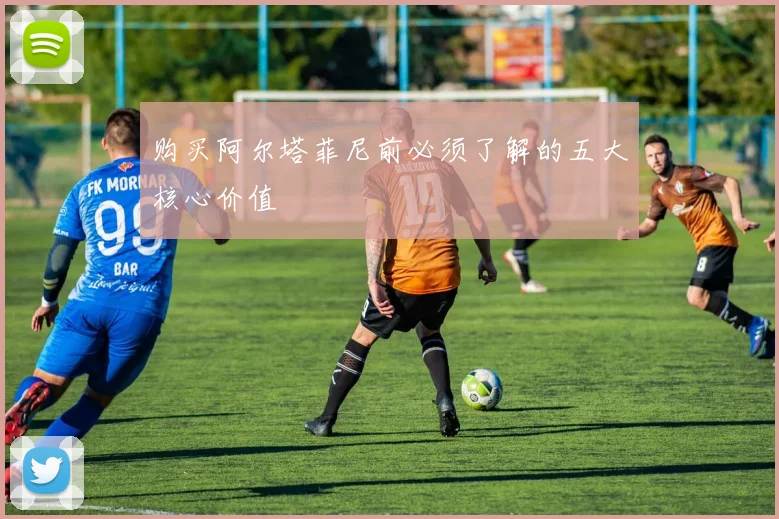 购买阿尔塔菲尼前必须了解的五大核心价值