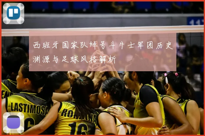 西班牙国家队绰号斗牛士军团历史渊源与足球风格解析